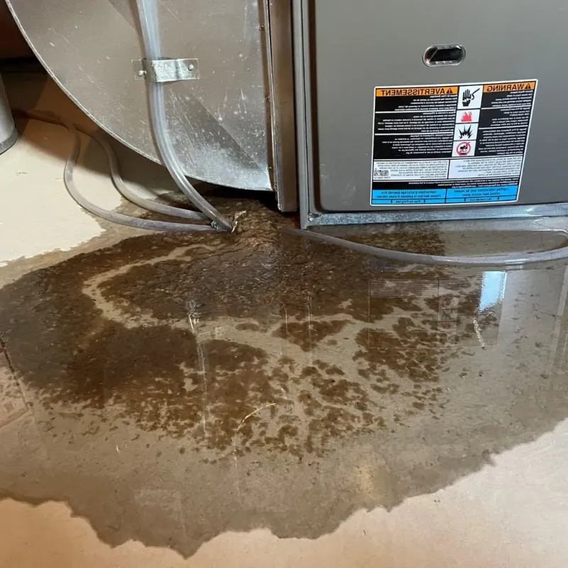 Pipe Burst and Leak Restoration in Warrensville Heights, OH