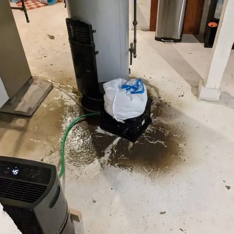 Sewage Backup Cleanup Service in Warrensville Heights, OH
